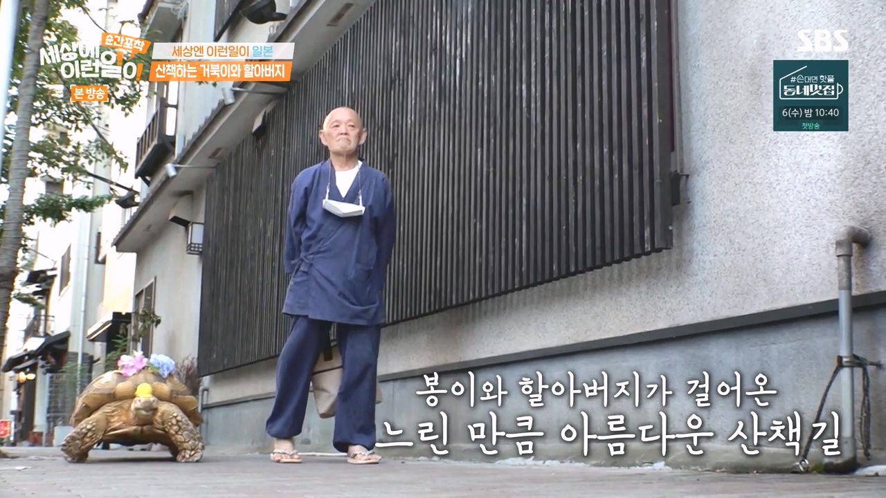 순간포착 세상에 이런일이.E1243.230827p-NEXT.mp4_20230827_172100.871.jpg