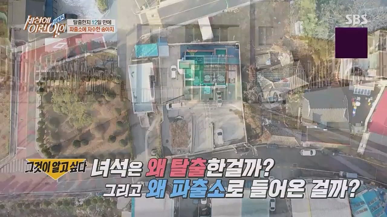 순간포착 세상에 이런 일이.E1217.230215p.WANNA.mp4_20230215_194720.859.jpg