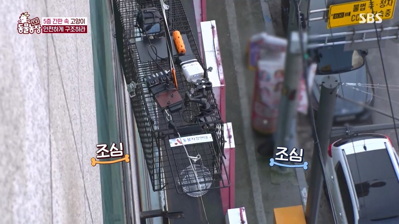 TV 동물농장.E1146.231120p-NEXT.mp4_20231119_175253.549.jpg