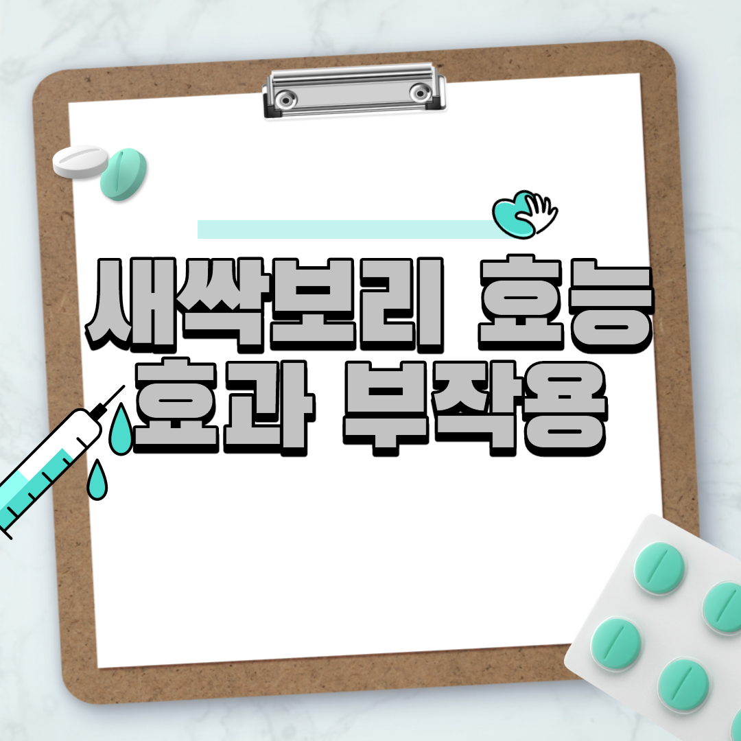  새싹보리 효능 효과 부작용
