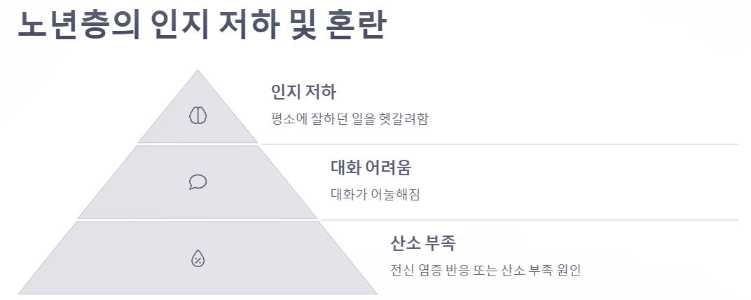 노년층 인지 저하 및 혼란 예시