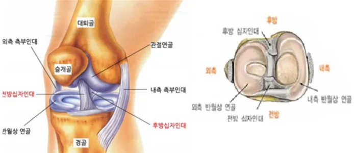 무릎 연골 손상 증상