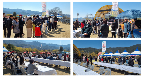 구례 산수유축제 기간 (2025년 개화시기) 안내