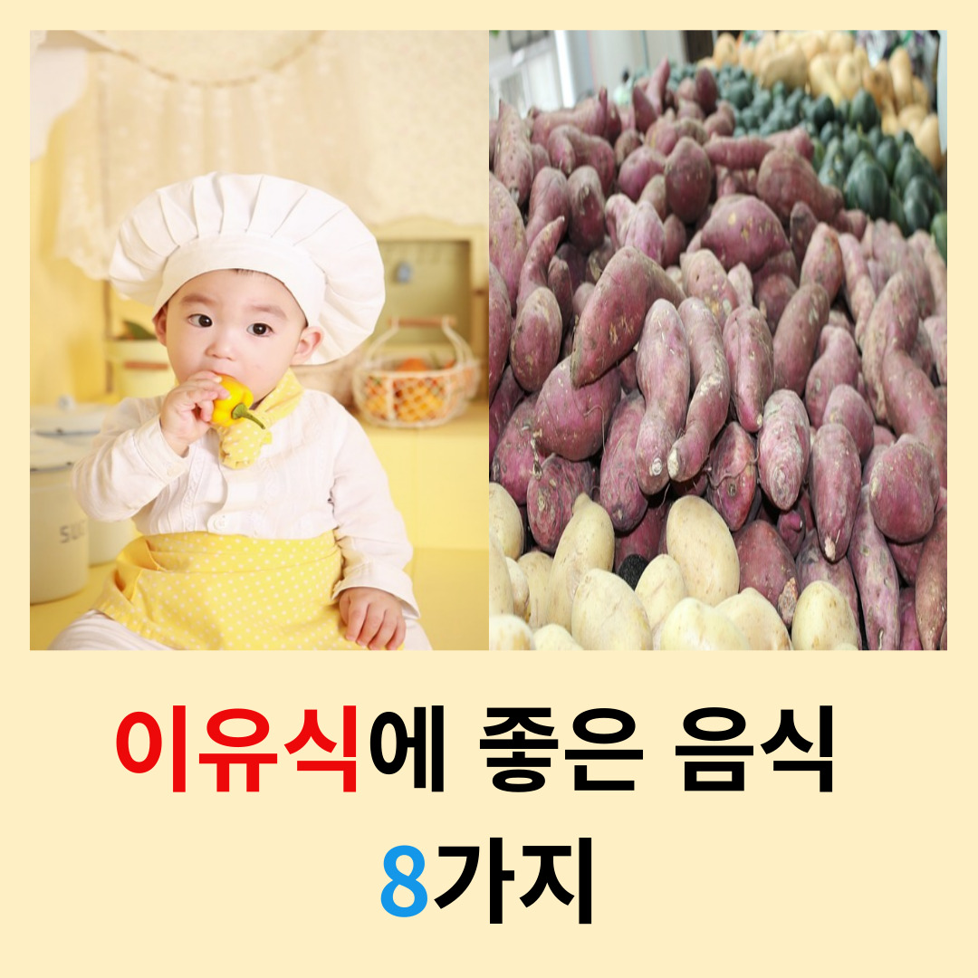 이유식에-좋은-음식-8가지
