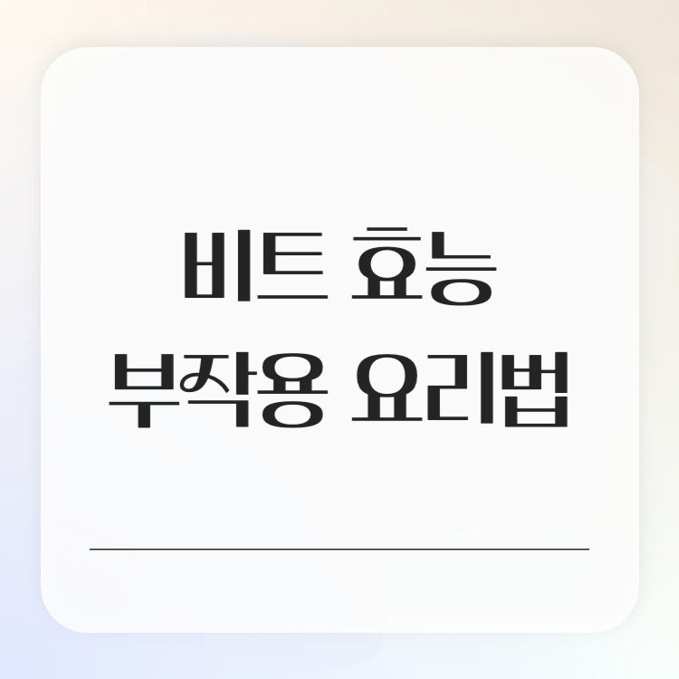 비트 효능 부작용 요리법