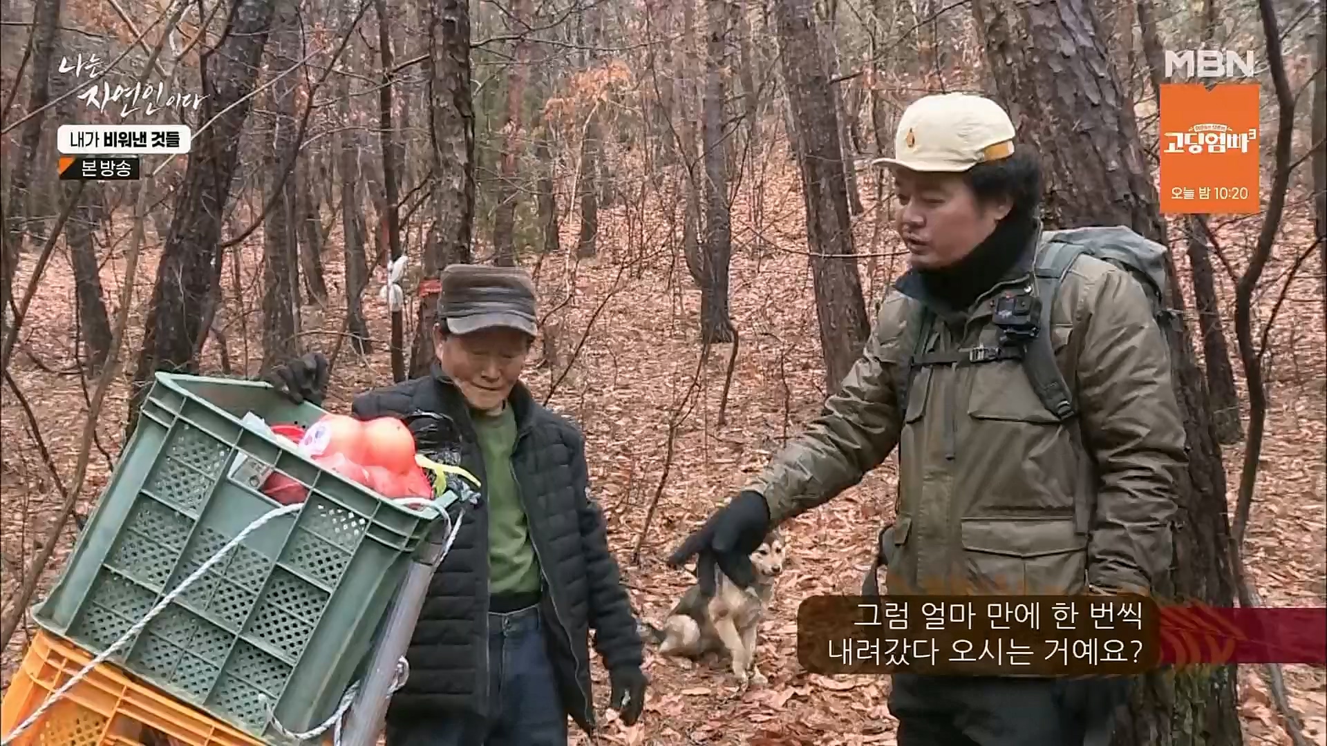 나는 자연인이다.E543.230301p.H264-F1RST.mp4_20230302_192638.709.jpg