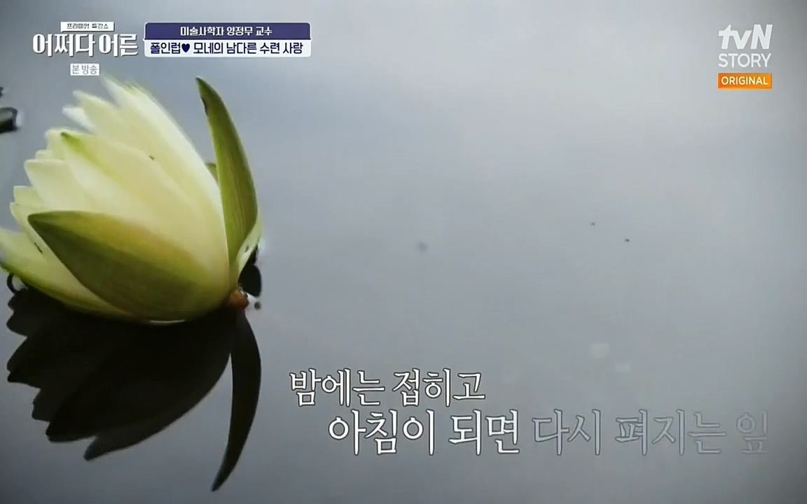 어쩌다 어른.E05.220708p-NEXT.mp4_20220904_180924.865.jpg