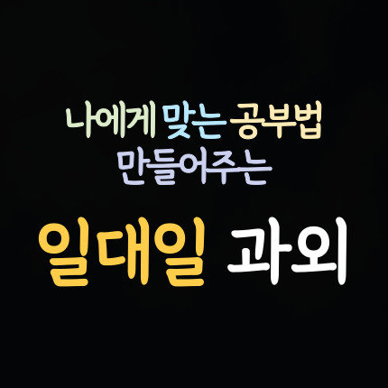  매화동 수학과외 시흥 미산동 영어과외 초등 중등 고등 국어과외 중학생 과학 일대일 내신 사회 역사 한국사