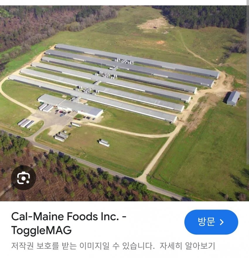 img.jpg