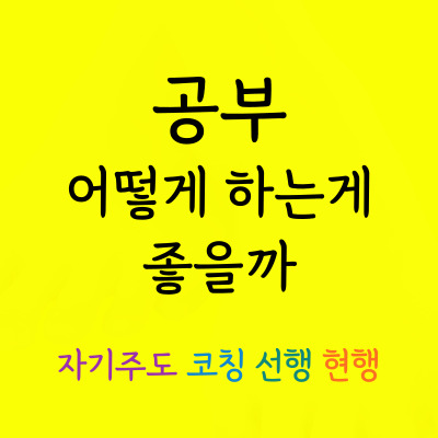  오학동 국어과외 현암동 과학과외 초등중등고등 일대일 코칭 자기주도 한국사 세계사