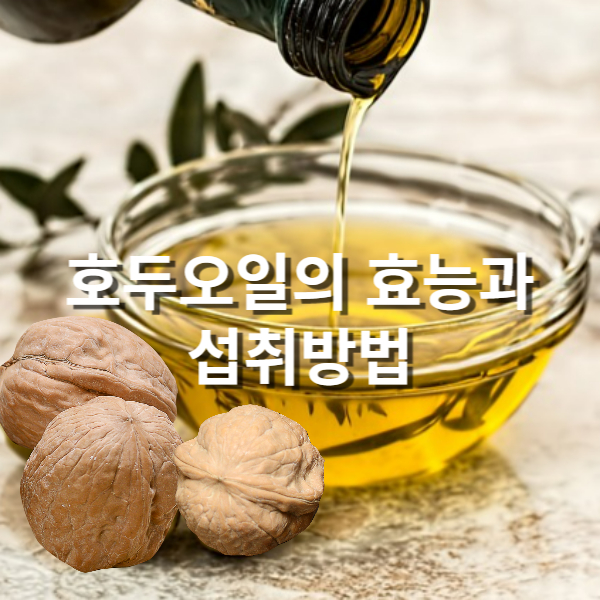  호두 기름의 효능과 부작용 올바른 섭취 방법