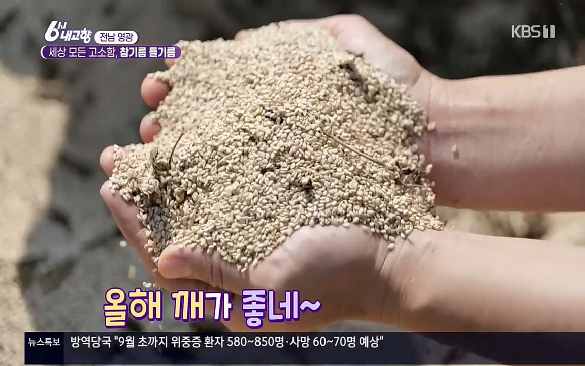 6시 내고향.E7608.220832p.H264-F1RST.mp4_20220901_204358.367.jpg