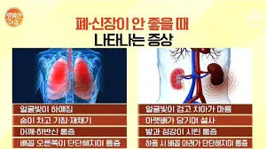 신장이 안좋으면 나타나는 증상