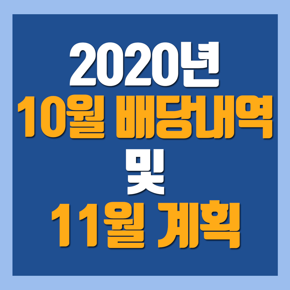  2020년 10월 배당내역 및 결과분석