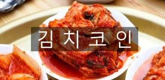 김치코인 종류 전망_23