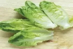 상추