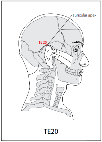 수소양삼초경(TE) > TE20 각손 (角孫) 1