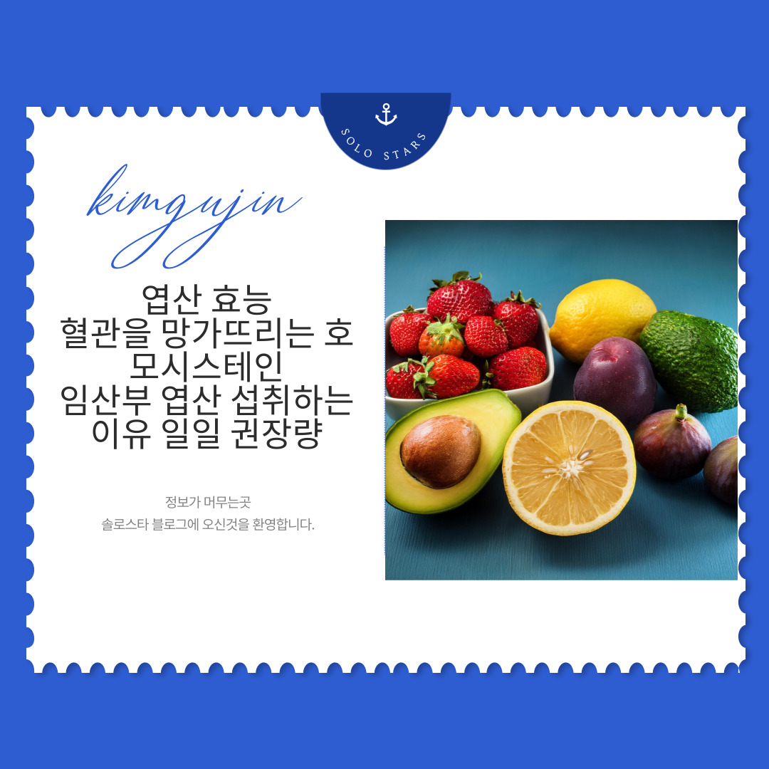 엽산 풍부한 과일