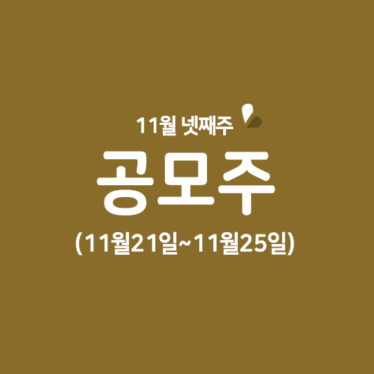 11월 넷째주 공모주