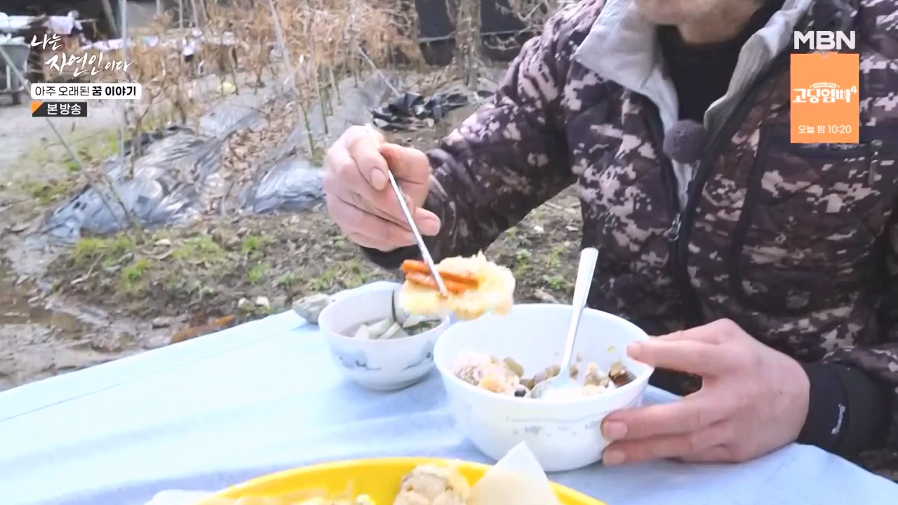 나는 자연인이다.E594.240222p-NEXT.mp4_20240222_195332.329.jpg