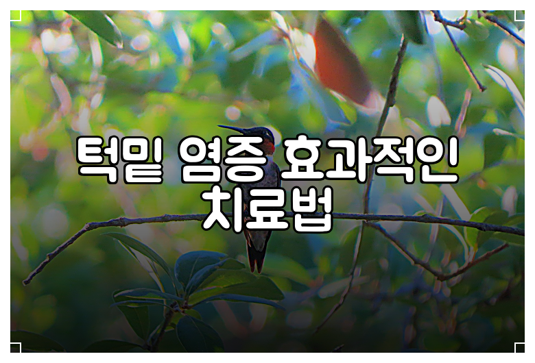 턱밑 염증 효과적인 치료법