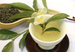 여성의 방광염의 원인