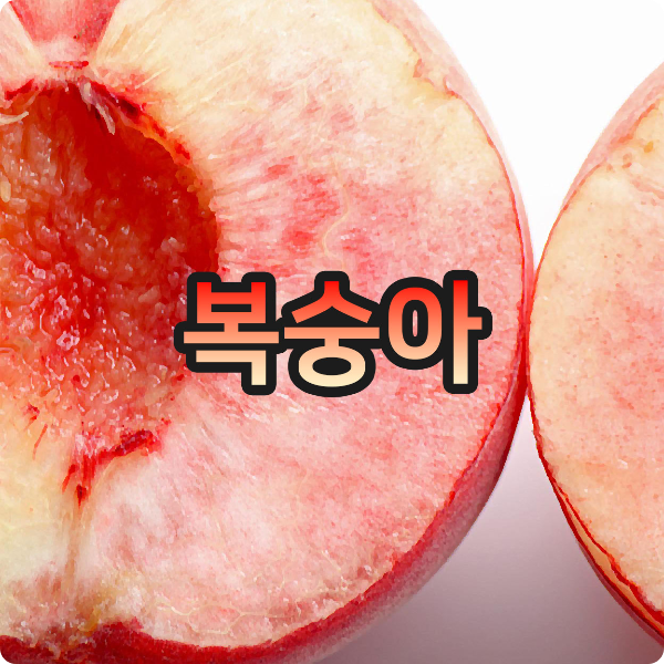  복숭아 먹기 전, 꼭! 봐야 할 복숭아 효능과 부작용
