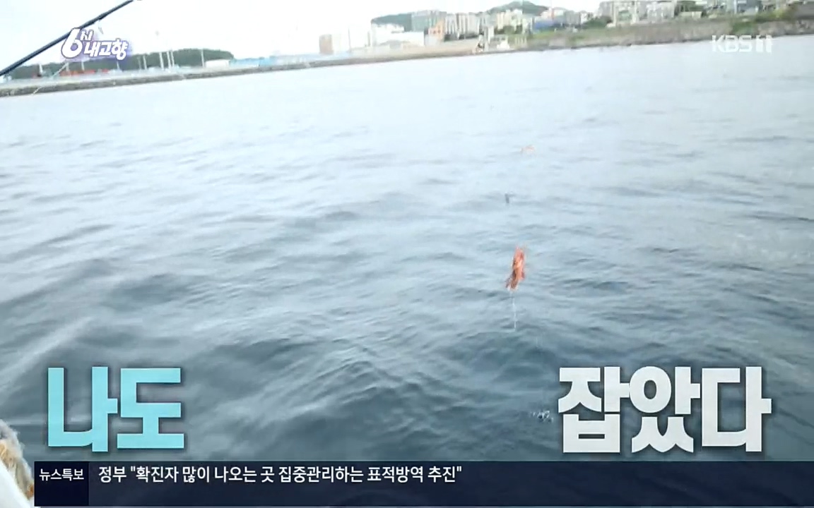 6시 내고향.E7596.220813p.H264-F1RST.mp4_20220814_175754.741.jpg