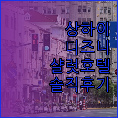 상하이 디즈니랜드 방문객 필독 샬럿 