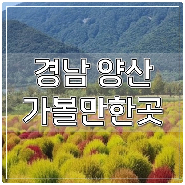  경남 양산 가볼만한곳 최신 베스트