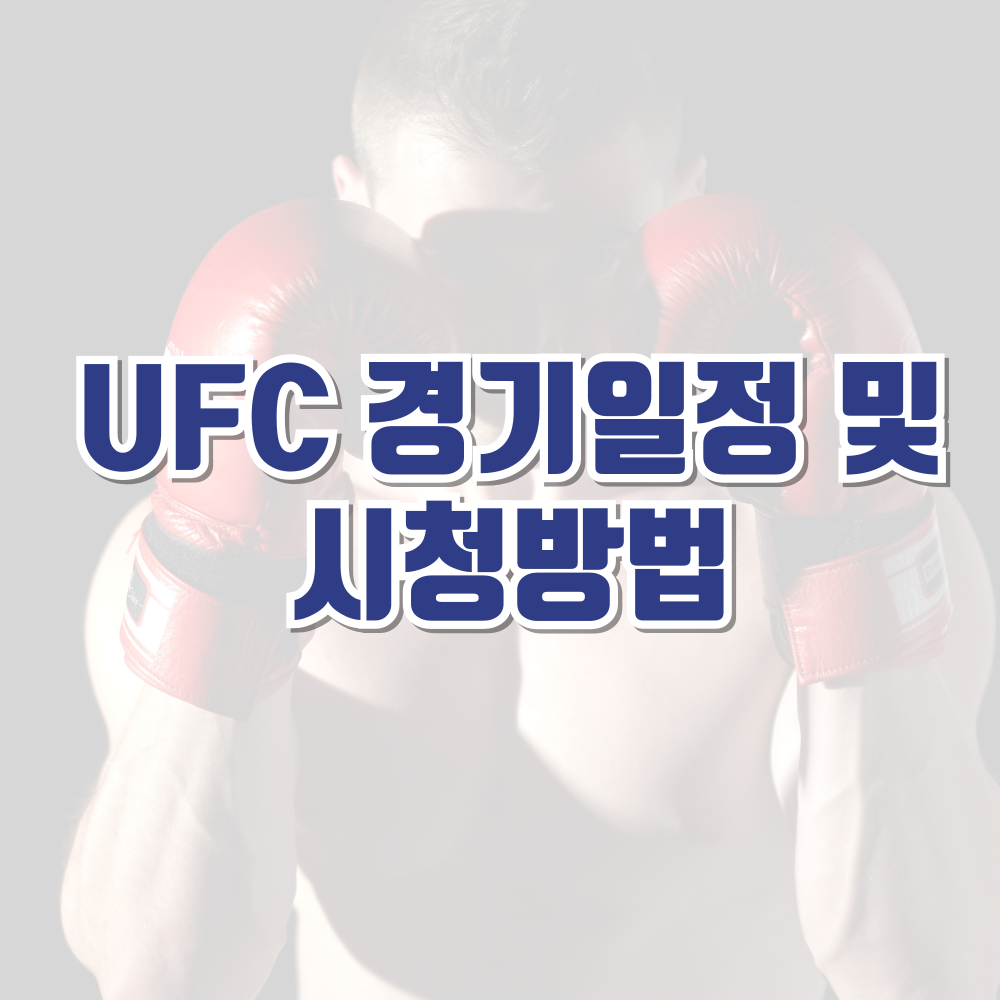 UFC 경기 일정 및 시청방법