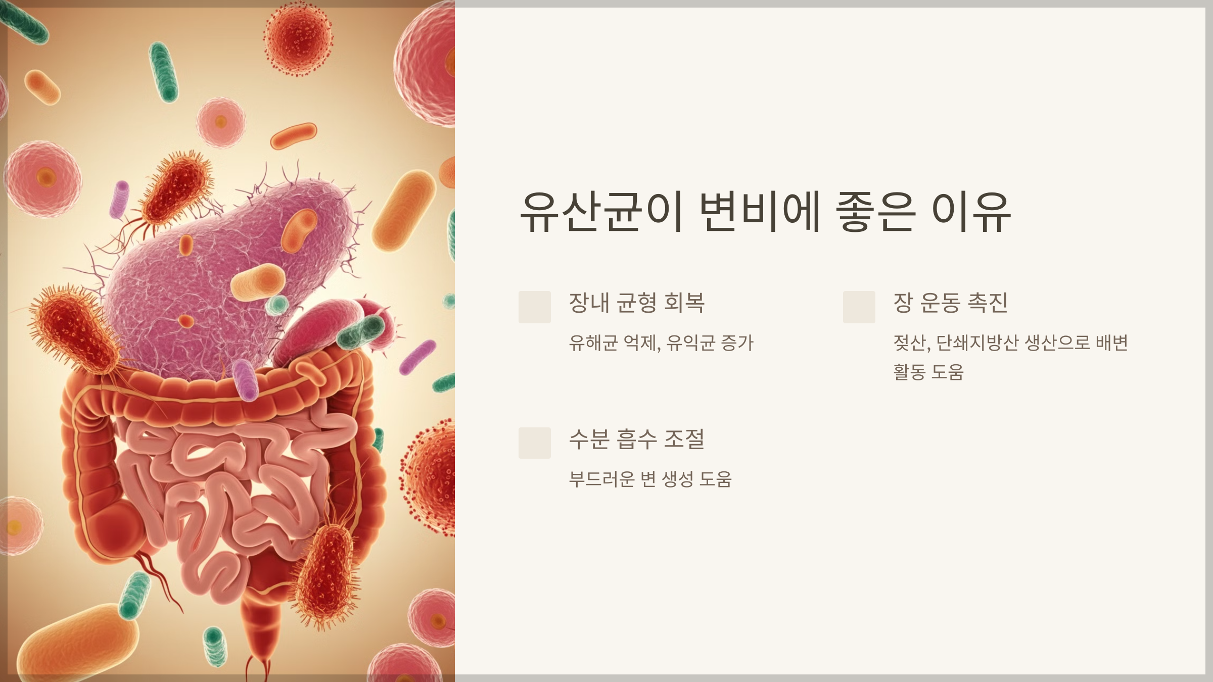 유산균이 변비에 좋은 이유