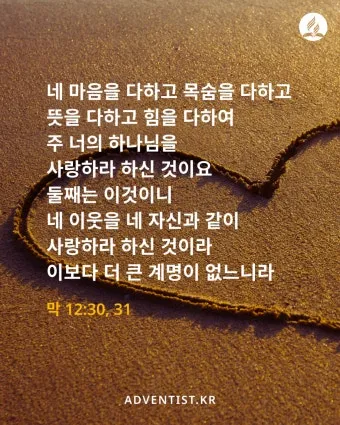 씨 뿌리는 자의 바유 마가복음 성경 묵상_20