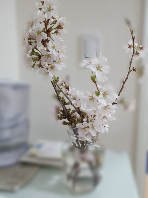  봄  - Spring -