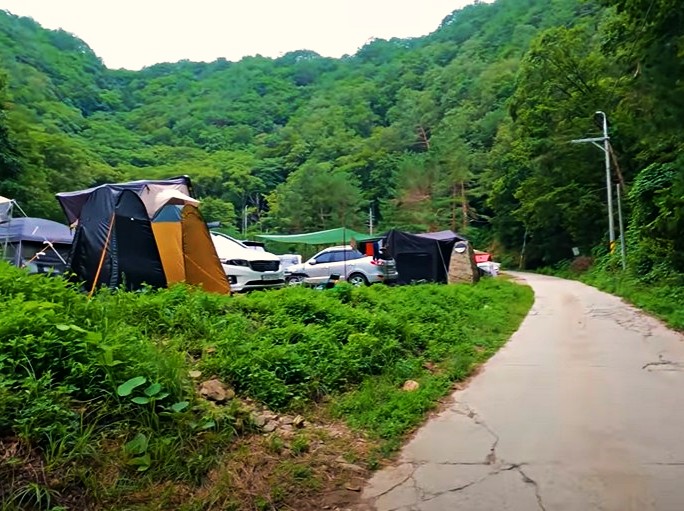 캠핑-장소