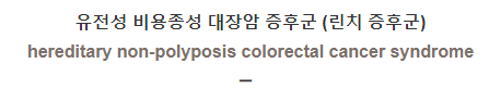  유전성 비용종성 대장암 증후군 (린치 증후군) [hereditary non-polyposis colorectal cancer syndrome]