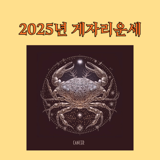 2025년 게자리운세 썸네일