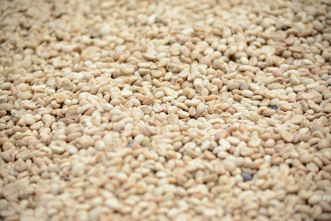Sesame