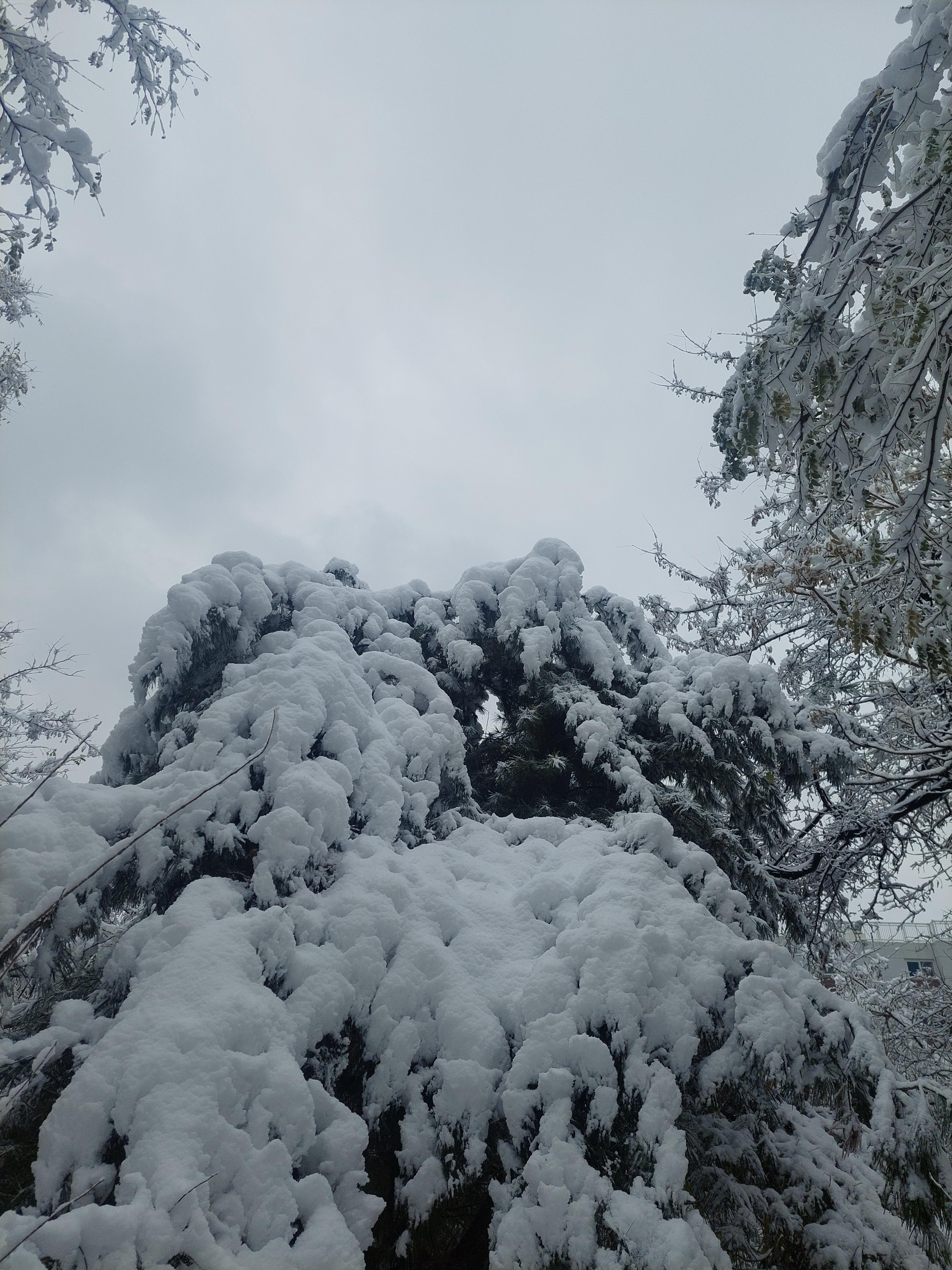 백련산안산
