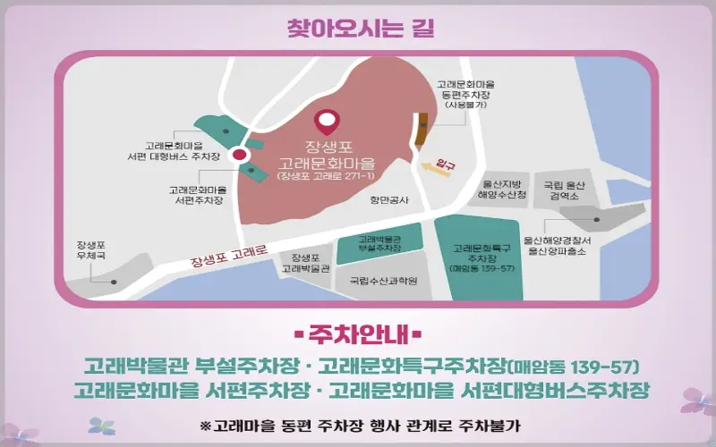 장생포 수국축제 주차장
