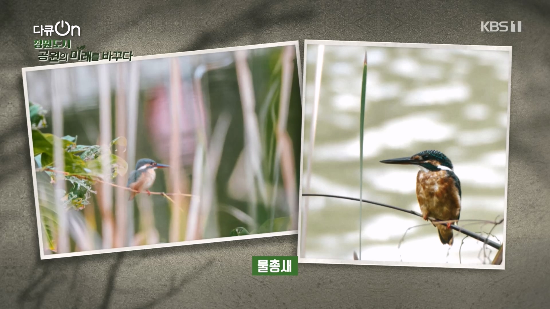 다큐 On.E230.231209p.H264-F1RST.mp4_20231211_195522.239.jpg