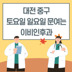 대전 중구 토요일 일요일 이비인후과 진료 병원 리스트