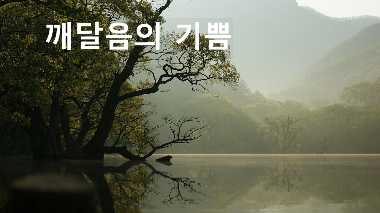 깨달음의 기쁨