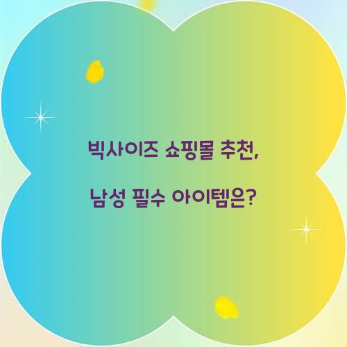 빅사이즈 쇼핑몰 추천