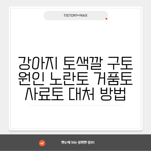 강아지 토색깔 구토 원인 노란토 거품토 사료토 대처 방법