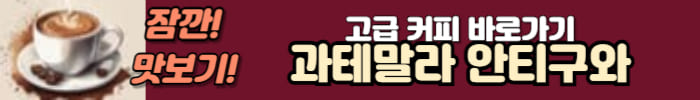 과테말라 안티구와