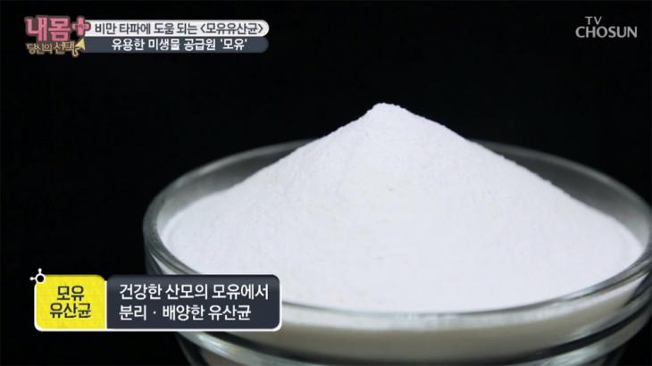  모유유산균 ‘락토바실러스 가세리 BNR17’, 다이어트 효능 및 부작용은?