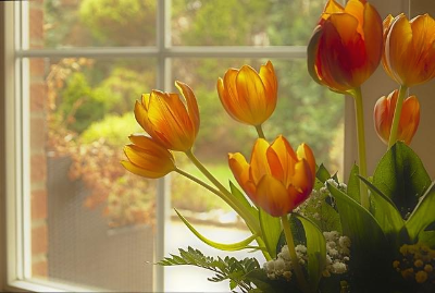 창가에 놓여 있는 노란색 튤립 꽃다발