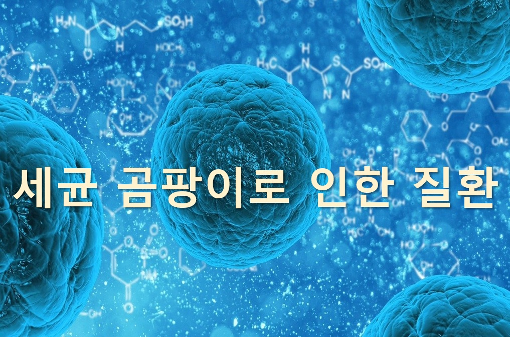  항바이러스제, 항진균제, 항생제는 어떠한 차이가 있을까?