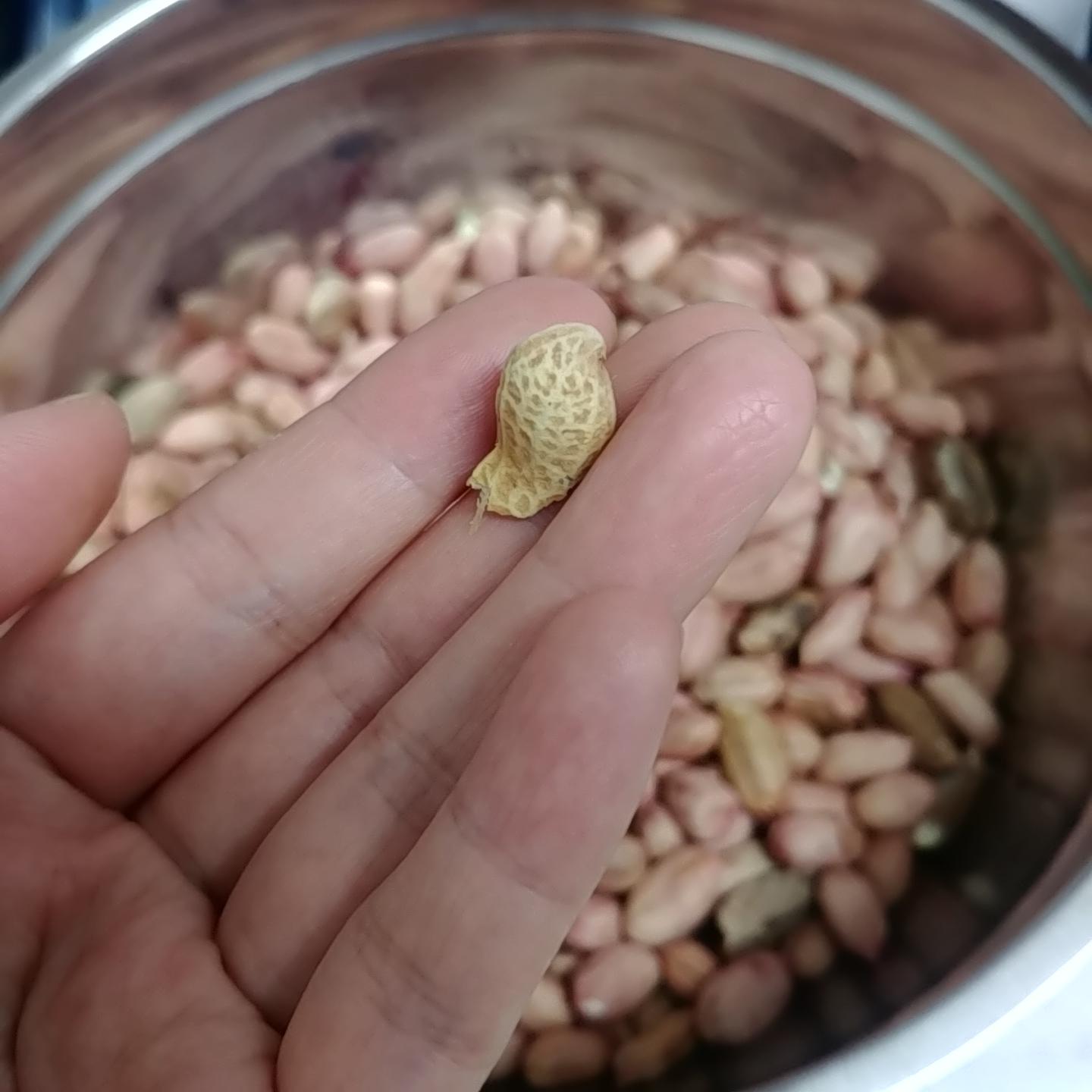땅콩볶는법부터 땅콩보관까지 완벽하게 마스터하기 땅콩볶는법부터 땅콩보관까지 완벽하게 마스터하기